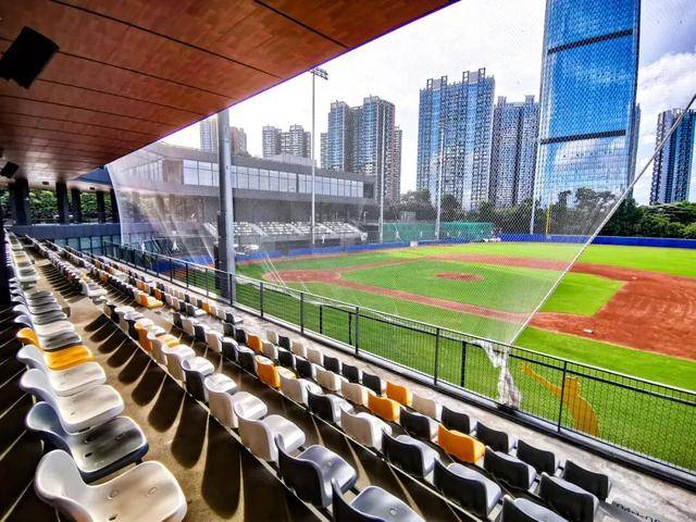 新联赛、新打法、新生态，CPB“上垒”中国棒球商业化新篇章